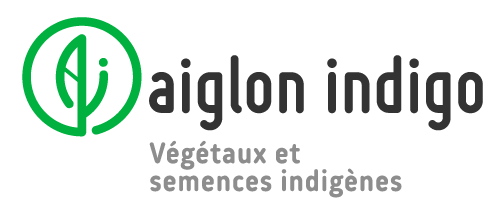 Aiglon-Indigo_Avec-positionnement_Horizontal_RVB.png 